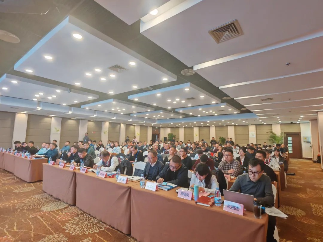 20250318/67d8c5c5831a3.jpg 2.jpg